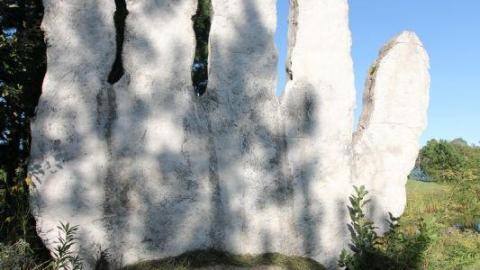 Photo from 2nd Visit. 10/10