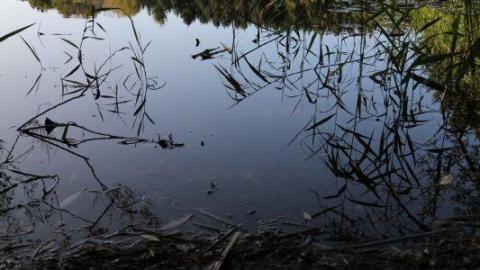 2nd Visit. 10/10 - IMG_4782WGS.jpg