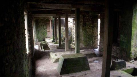 Photo from Darnley Mills