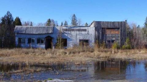 Orphan Annies Truck Stop photo 3