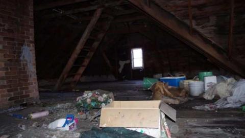 Big Red - Attic 1.jpg