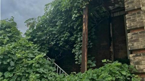 Short dip @ Century. - 99DE09AD-5F55-481C-89D9-2DE6CDC674A94Qt.jpg