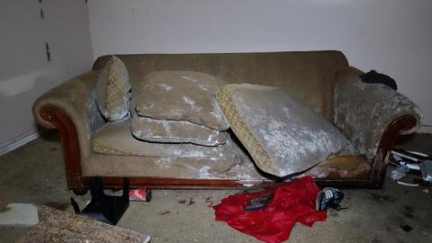 Spewing In Stereo photo 3