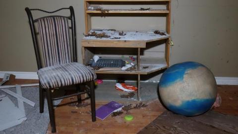 Charcoal Escape Sept '20 - DSC01171BLT.jpg