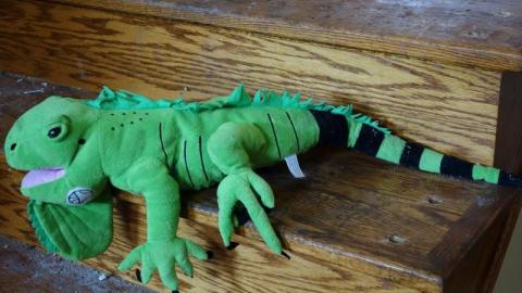 Charcoal Escape Sept '20 - DSC01227Xdw.jpg