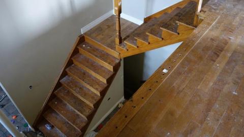 Charcoal Escape Sept '20 - DSC01259DLM.jpg