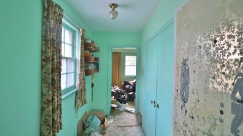 Grooooovy Summer 2K20 - IMG_22025t6.jpg