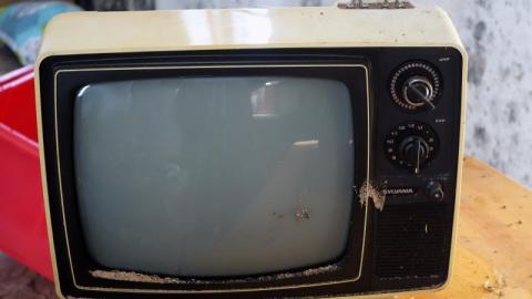 Mold & OPP Feb '20 - DSC02219AlS.jpg