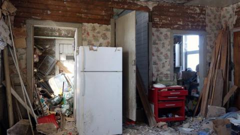 Mold & OPP Feb '20 - DSC02220Gab.jpg