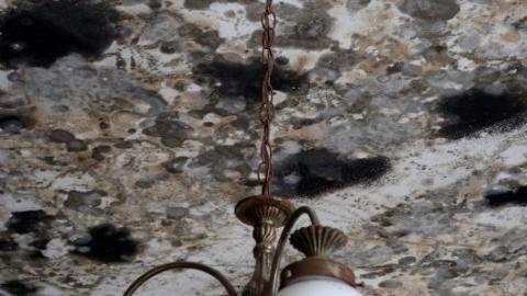 Mold & OPP Feb '20 - DSC02227c49.jpg