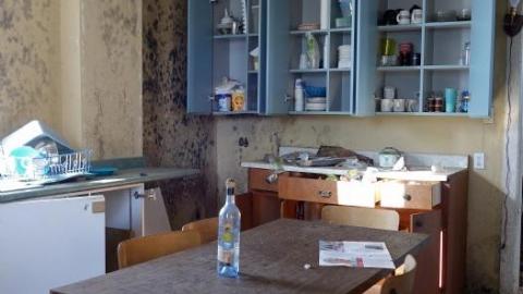 Mold & OPP Feb '20 - DSC022299Ah.jpg