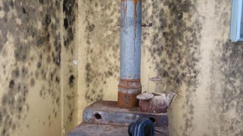 Mold & OPP Feb '20 - DSC0223194D.jpg