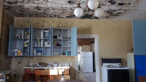 Mold & OPP Feb '20 - DSC02237Psf.jpg