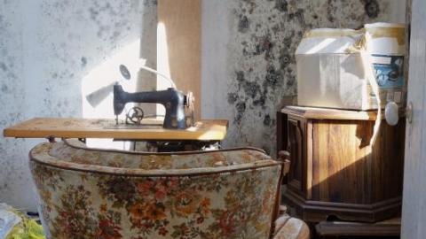 Mold & OPP Feb '20 - DSC022402cB.jpg