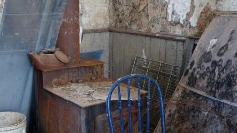 Mold & OPP Feb '20 - DSC02244SZY.jpg