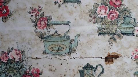 Mold & OPP Feb '20 - DSC02248na9.jpg