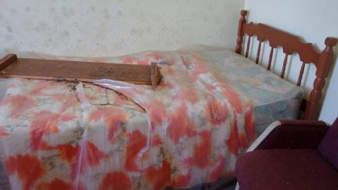 Mold & OPP Feb '20 - DSC02251GZt.jpg