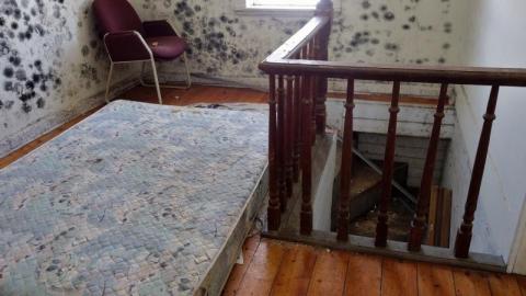 Mold & OPP Feb '20 - DSC02255ASi.jpg