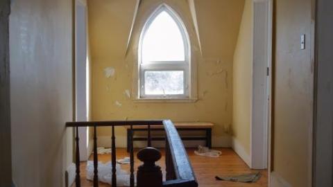 Mold & OPP Feb '20 - DSC02260Utw.jpg