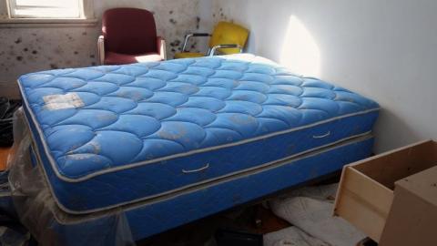 Mold & OPP Feb '20 - DSC02263ysB.jpg