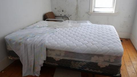 Mold & OPP Feb '20 - DSC02265Q4p.jpg