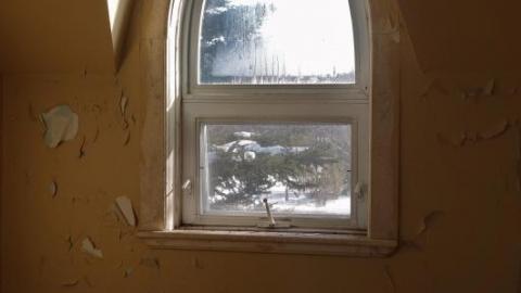 Mold & OPP Feb '20 - DSC02267ILH.jpg