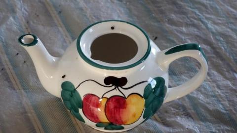 Mold & OPP Feb '20 - DSC02272FLr.jpg