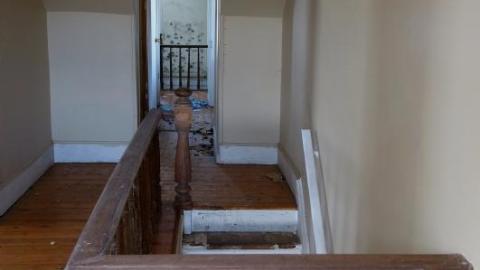 Mold & OPP Feb '20 - DSC02275LWD.jpg