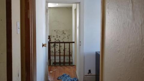 Mold & OPP Feb '20 - DSC02301sAe.jpg