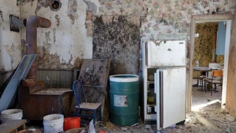 Mold & OPP Feb '20 - DSC02303pOe.jpg