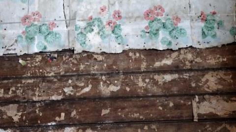 Mold & OPP Feb '20 - DSC02309QCR.jpg