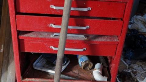 Mold & OPP Feb '20 - DSC02311pnG.jpg