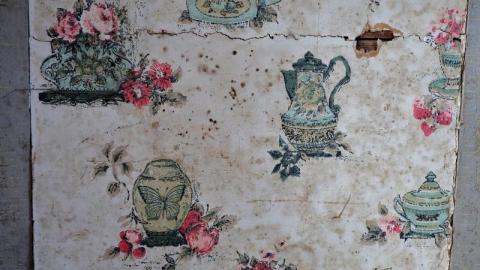 Mold & OPP Feb '20 - DSC02315bqh.jpg