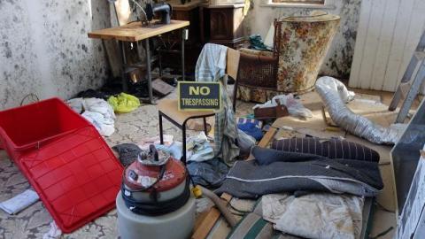 Mold & OPP Feb '20 - DSC02316HfH.jpg