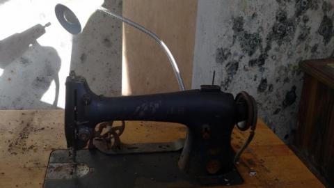 Mold & OPP Feb '20 - DSC02327SBA.jpg