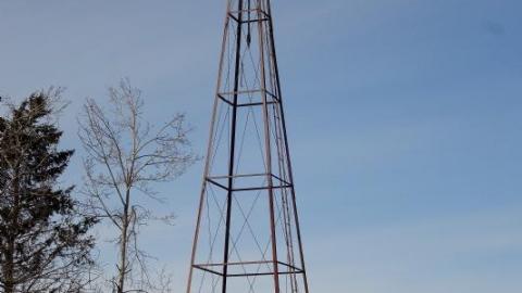 Mold & OPP Feb '20 - DSC02334Yyk.jpg