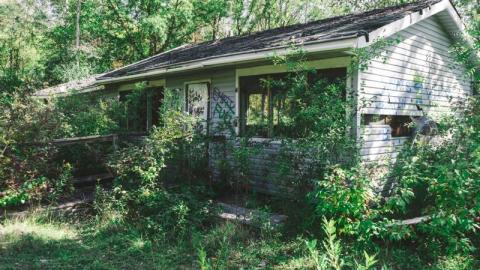 Camp Tillingwood 2 - Camp Tillingwood-4kea.jpg