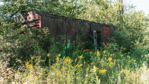 Camp Tillingwood 2 - Camp Tillingwood-10XfY.jpg