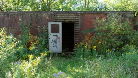 Camp Tillingwood 2 - Camp Tillingwood-11xIV.jpg