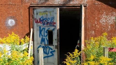 Camp Tillingwood 2 - Camp Tillingwood-14LG3.jpg