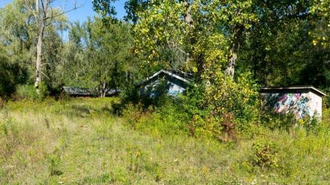 Photo from Camp Tillingwood 2