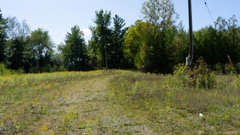 Photo from Camp Tillingwood 2