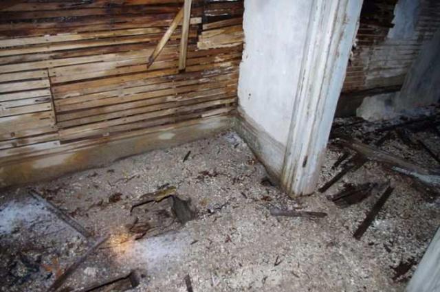 Fenel Rd home interior views - Rotted areas on second floor tread carefully.jpg