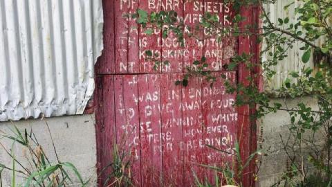 Still Things To Find - 119995136_355960089095717_23162596443046Q3.jpg