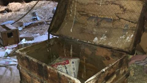 Still Things To Find - 120034412_409945743320569_13878898331618oha.jpg