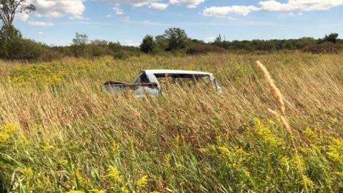 Still Things To Find - 119780942_810897026333830_41896974751122R0N.jpg