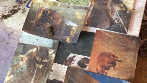 Still Things To Find - 120039368_946103642467013_79448539234621TOX.jpg