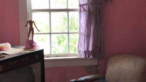 Still Things To Find - 119917204_982274658960356_42440770182545alf.jpg