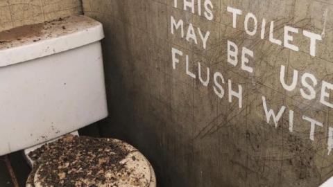 Still Things To Find - 119950361_1224727827893463_5717331802513gjU.jpg