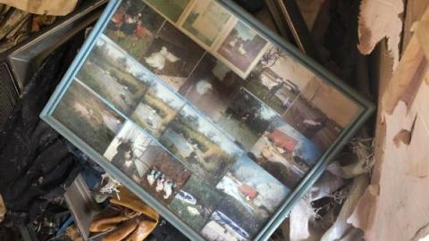 Still Things To Find - 119902260_2757628181227019_9972649127358pjU.jpg